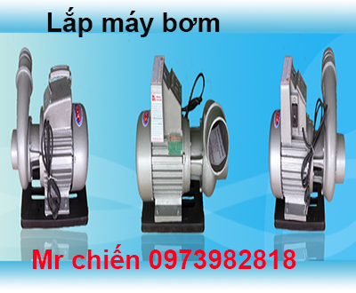 sửa máy bơm không lên nước tại quận 2 https://chongthamhcm.com/chi-tiet-bv/dich-vu-sua-may-bom-nuoc-tai-quan-2-gia-re.html