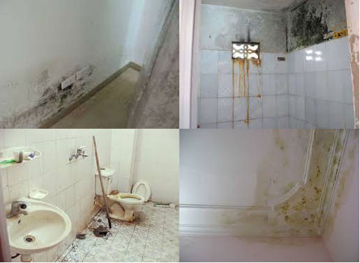 Chống thấm nhà vệ sinh tại Biên Hòa
