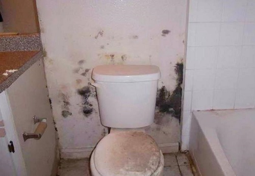Sửa toilet bị thấm nước quận 4